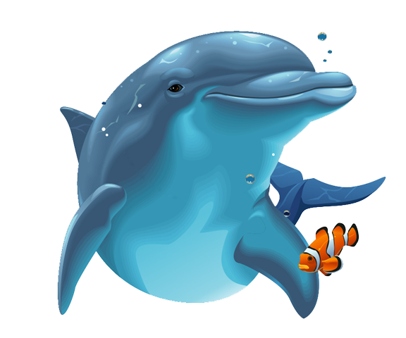 7-2-dolphin-png-image