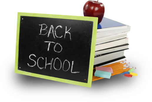 Plan ACCEDE. Recogida de lotes de libros: 2º, 3º y 4º de primaria